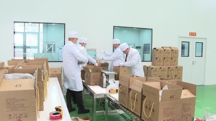 甘州企業(yè)蓄勢待發(fā)，沖刺一季度“開門紅”，酒業(yè)產(chǎn)品領(lǐng)跑新春市場